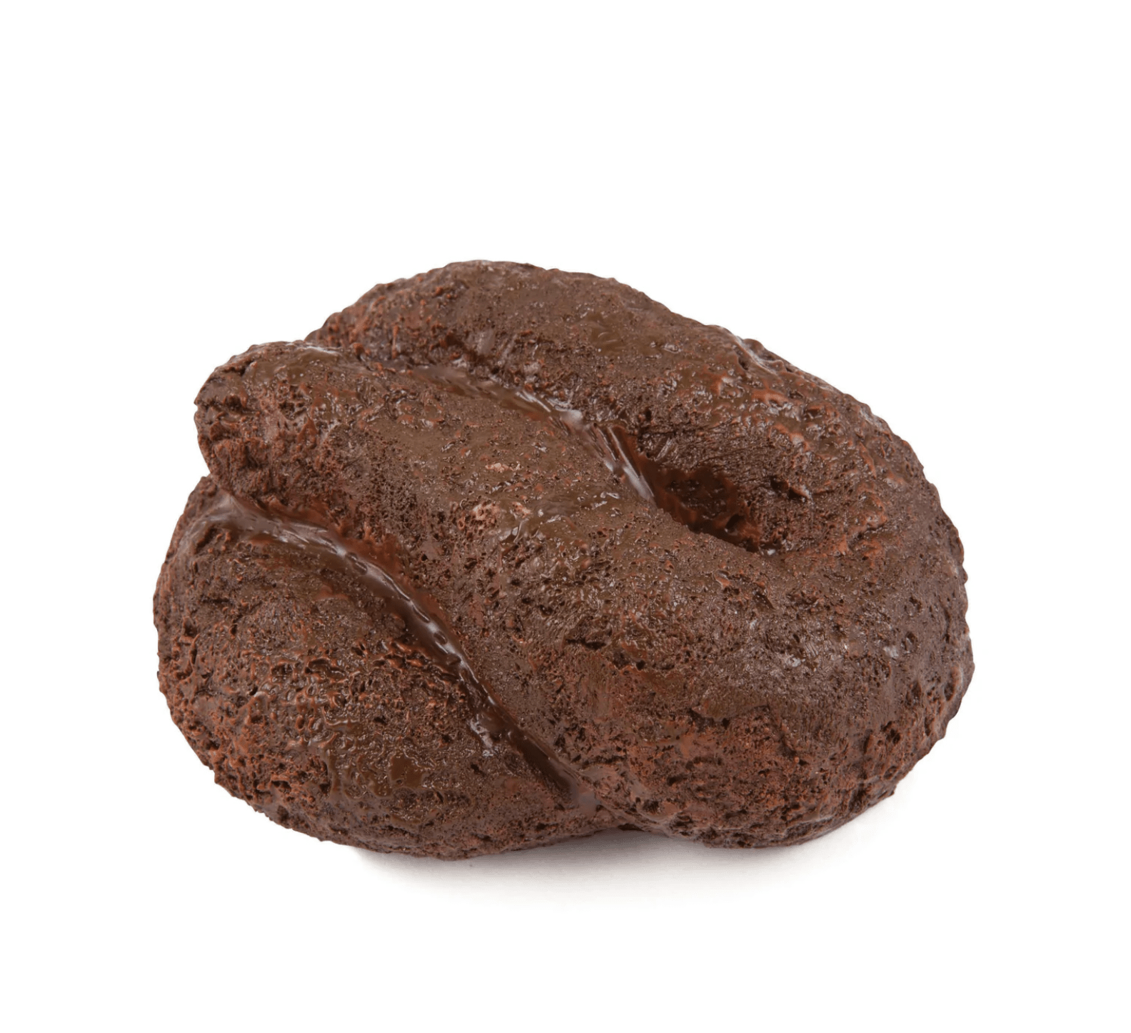 Fake Poo Key Hiding Spot Games WOW Sports & BigMouth Inc. 