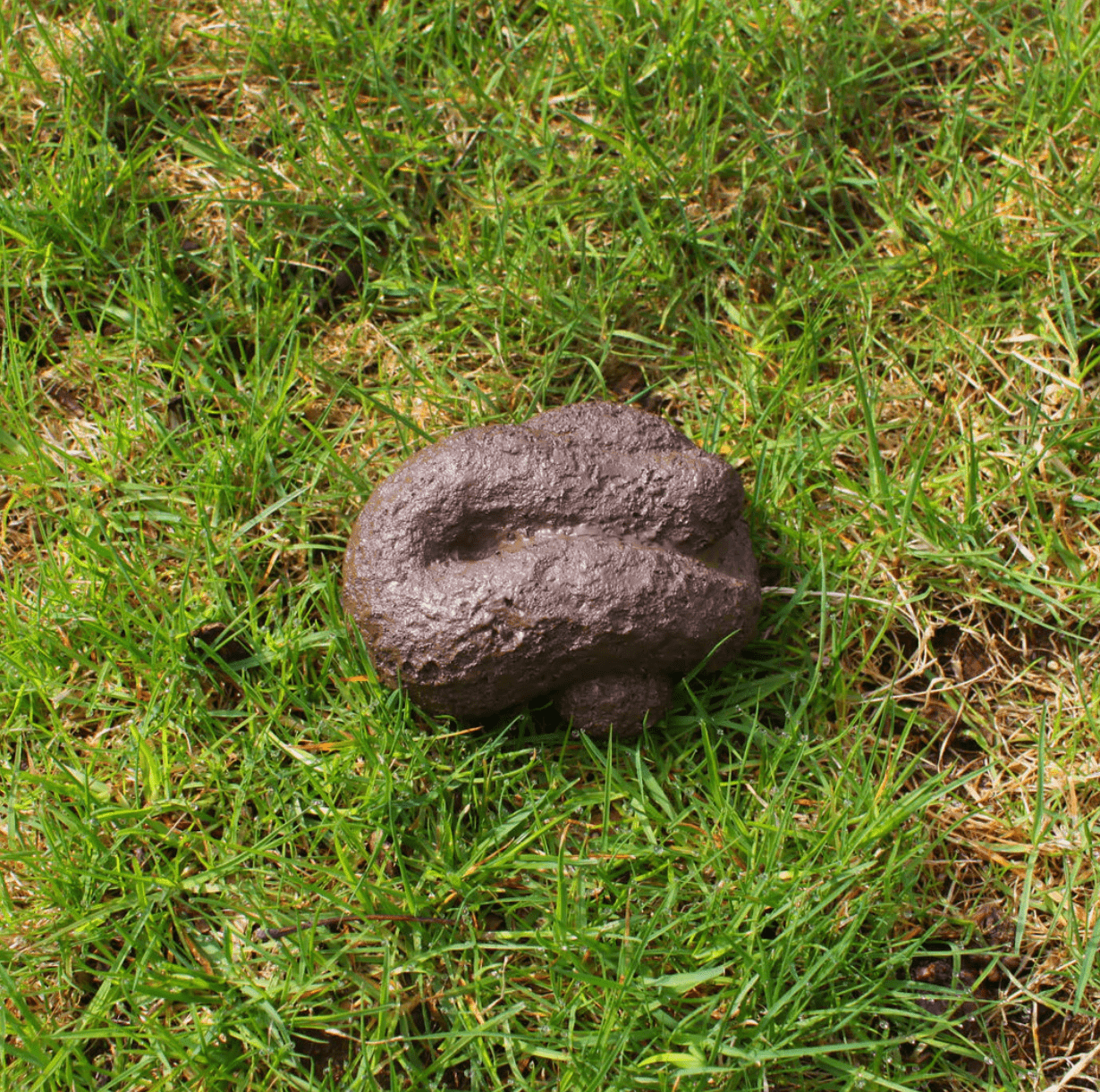 Fake Poo Key Hiding Spot Games WOW Sports & BigMouth Inc. 